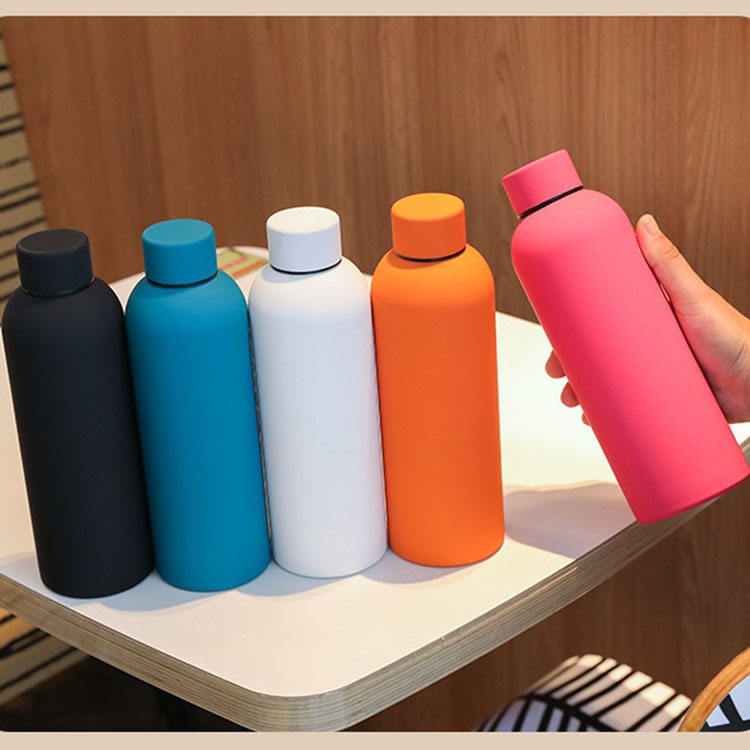 Insulated Water Bottle