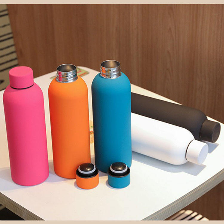Insulated Water Bottle