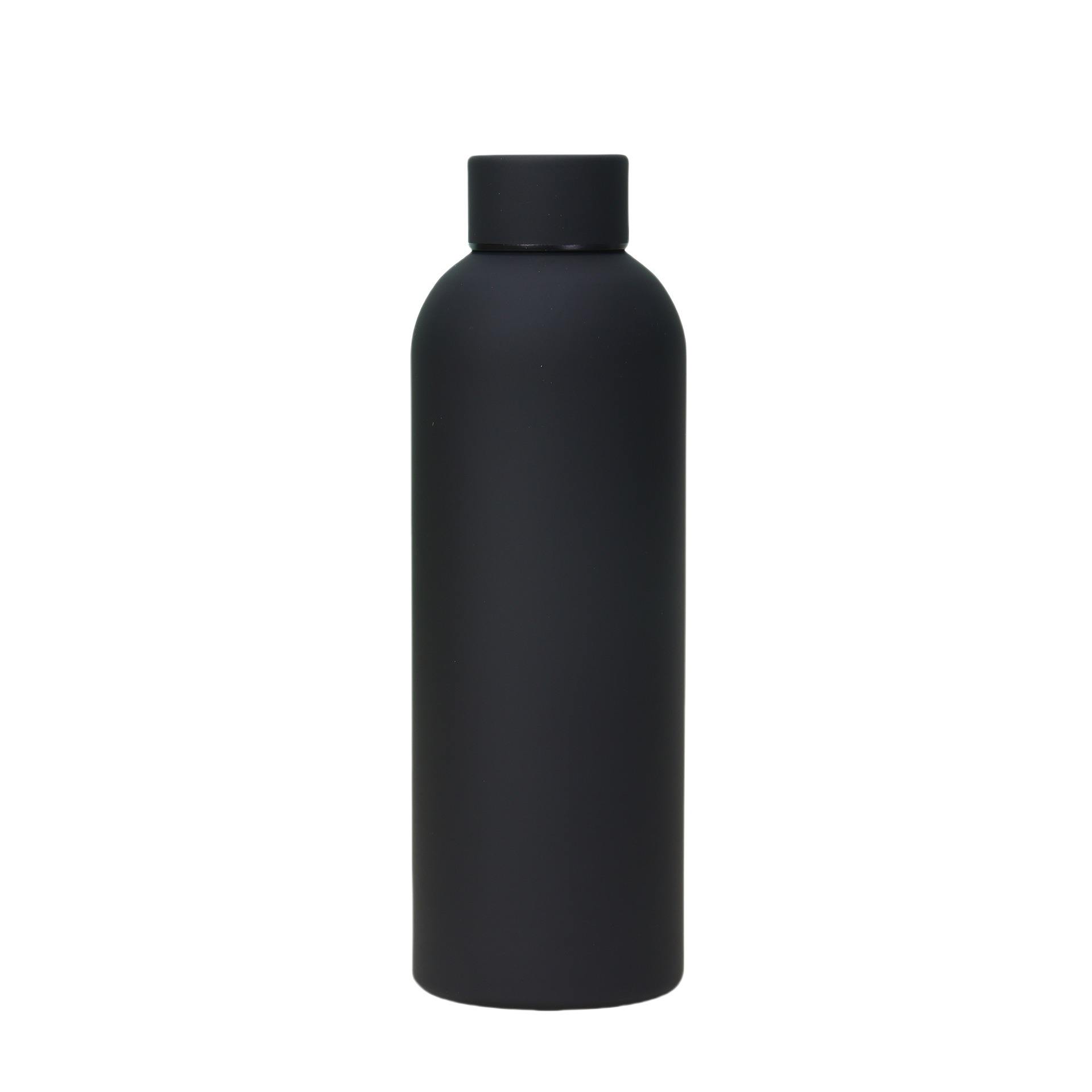 Insulated Water Bottle