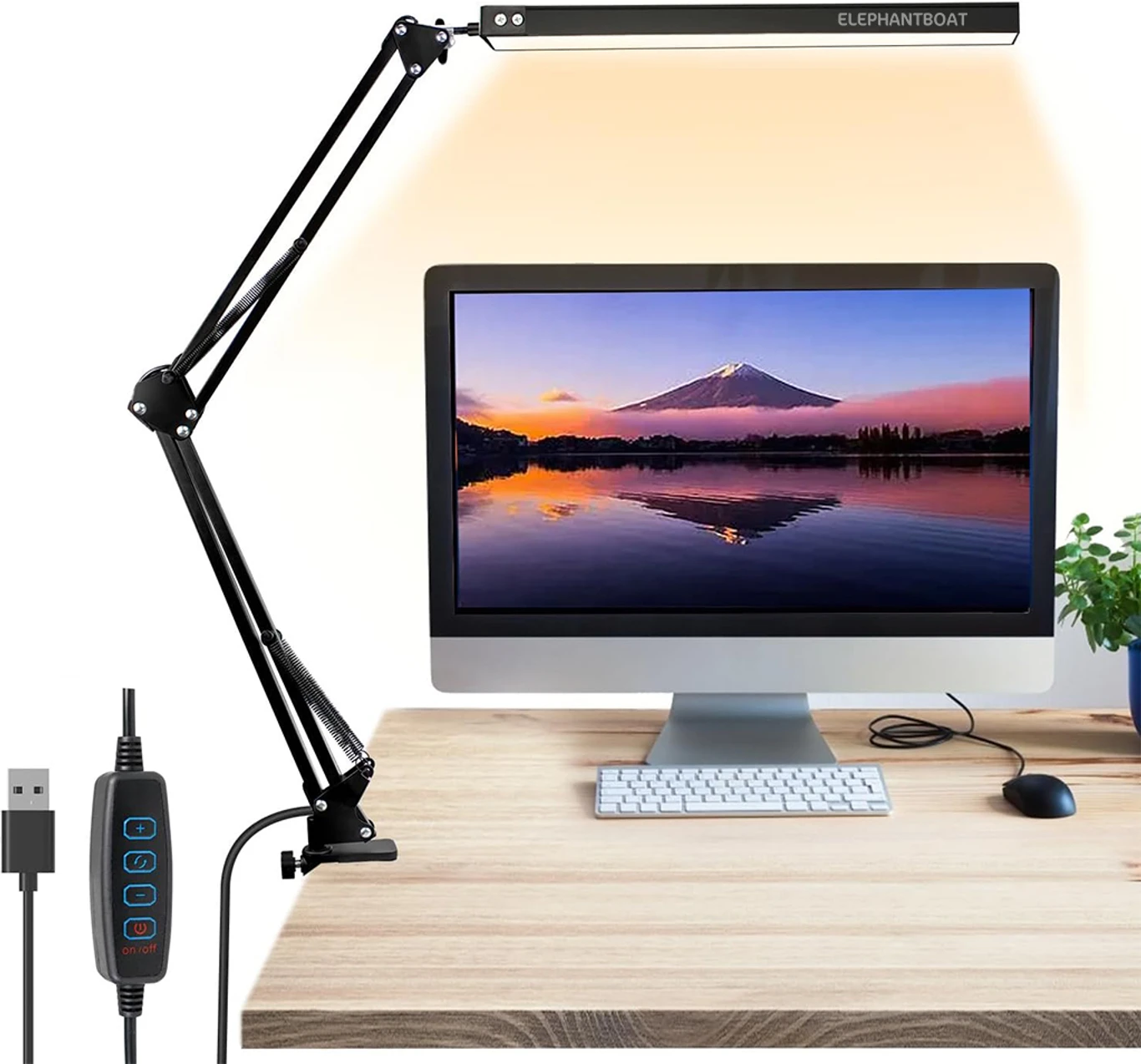 LED Study Lamp